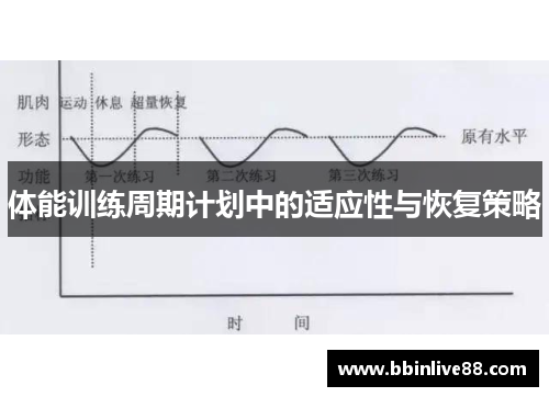 体能训练周期计划中的适应性与恢复策略