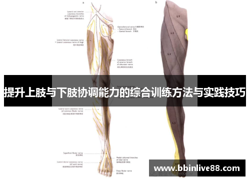 提升上肢与下肢协调能力的综合训练方法与实践技巧